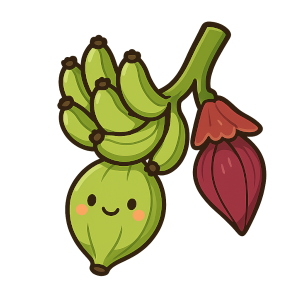 Banana Collection Blossoming