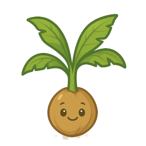 Coconut Collection Young Seeding